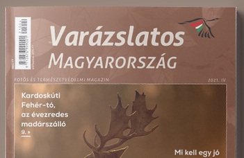 Intézetünk munkatársának cikke a Várazslatos Magyarország őszi számában